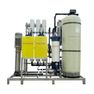 1000LPH RO Seawater Desalination System
